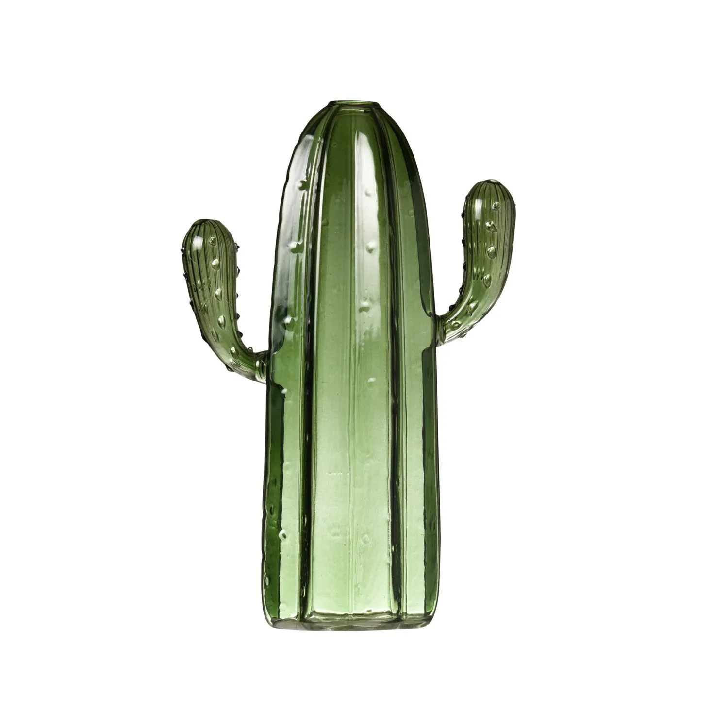 Vase Kaktus