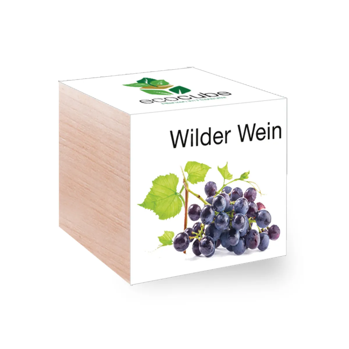 Pflanzwürfel - Wilder Wein