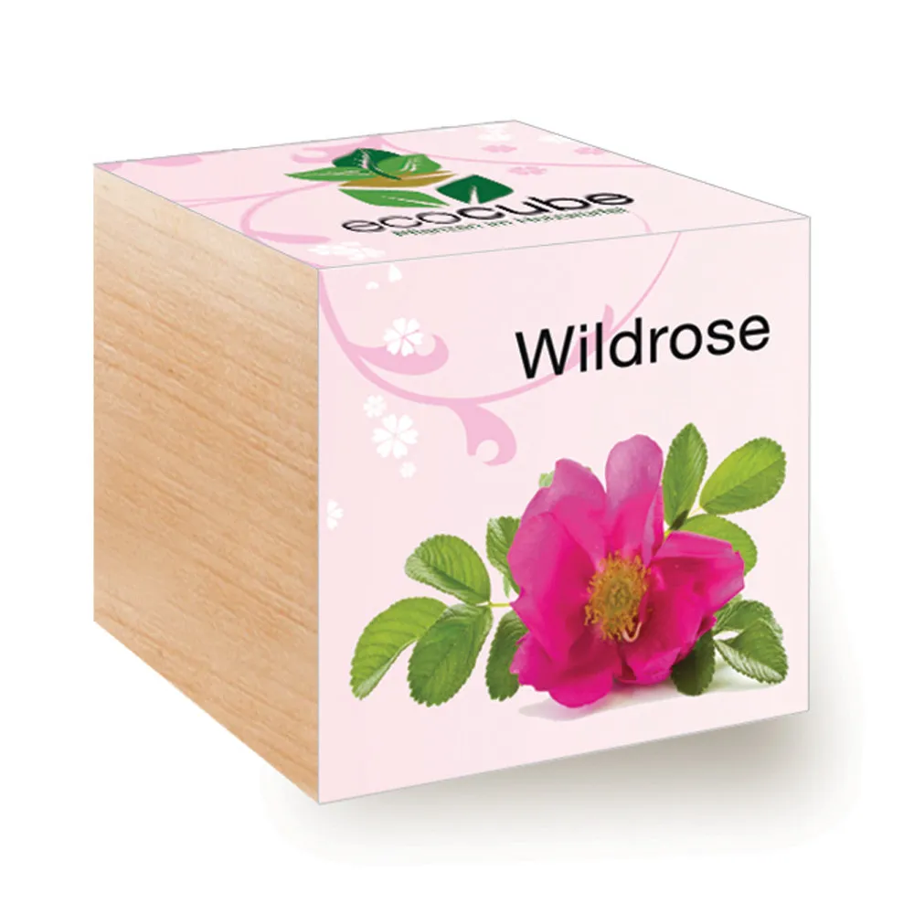 EcoCube - Pflanzen in Holzwürfeln - Wildrose